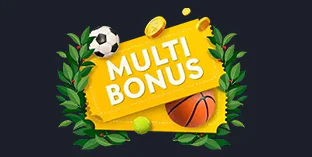 Moneyfest 100% Bonus of Accumulator